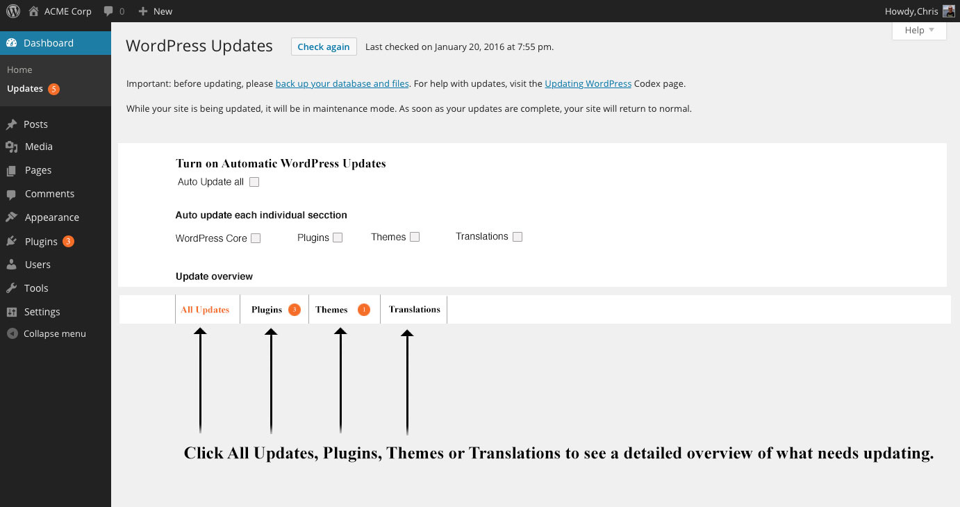 Automatic Updates WordPress less details
