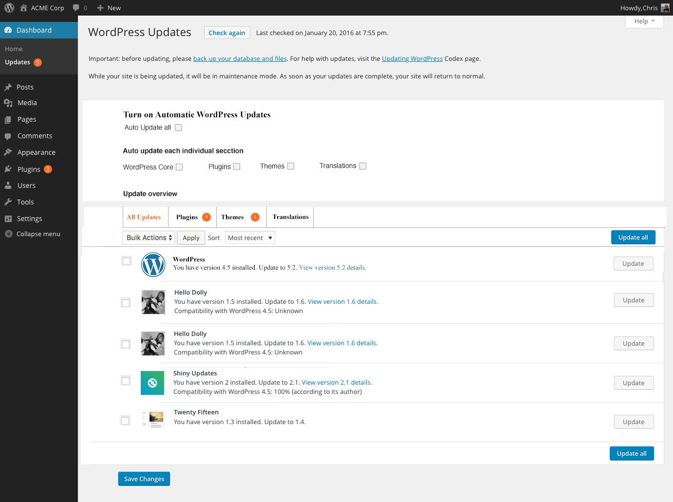 Automatic Updates WordPress more details