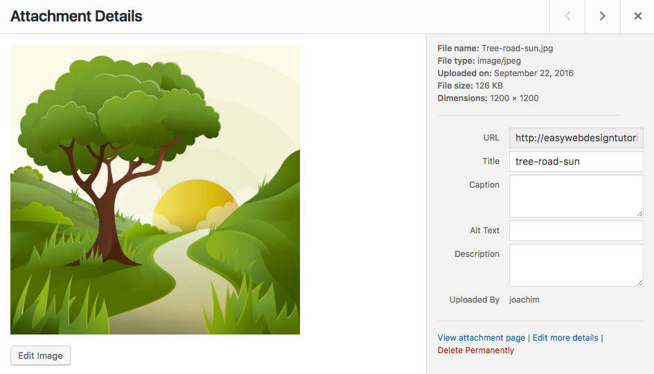 Default Attachment Details Media Library item 2017.