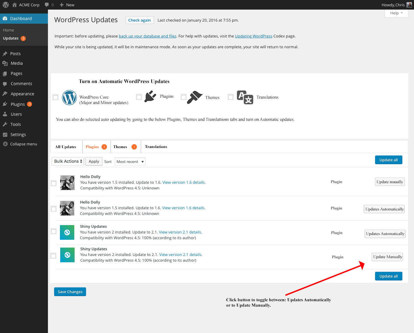 WordPress Updates Plugins Screen