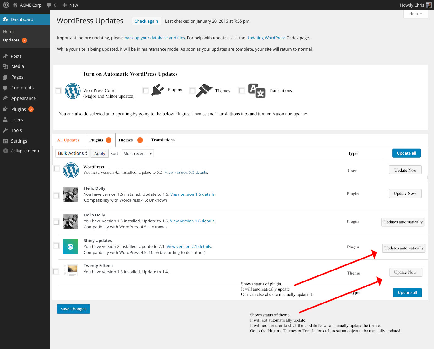 WordPress Updates main screen