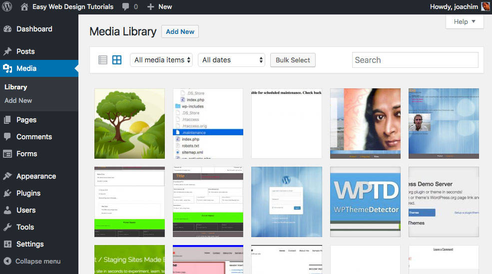 Default Media Library items from 2017.